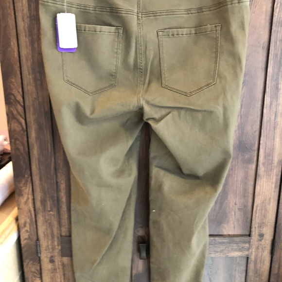 Forever 21 Plus Skinny Pant - Picture 2 of 4